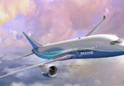 電蚊香片可以帶上飛機嗎？電蚊香液可以帶上飛機嗎？