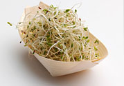 豆芽可以生吃嗎？豆芽炒粉條的家常做法