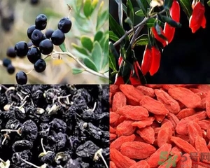 黑枸杞和紅枸杞有什么區(qū)別？黑枸杞和紅枸杞哪個(gè)好？