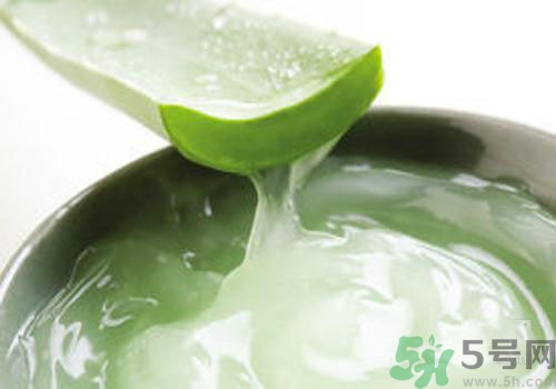 蘆薈膠可以天天用嗎？蘆薈膠天天用好不好？