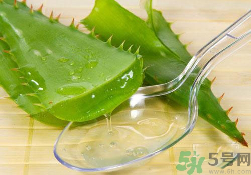 孕婦可以用蘆薈膠嗎？蘆薈膠孕婦可以用嗎？
