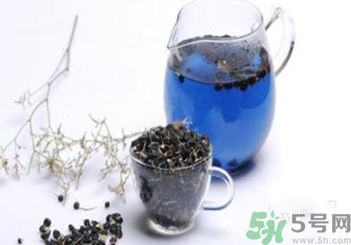 黑枸杞能用開水泡嗎？黑枸杞的沖泡方法