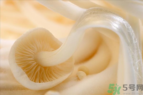 致癌金針菇怎么鑒別？如何選購金針菇？