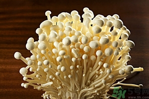 致癌金針菇怎么鑒別？如何選購金針菇？