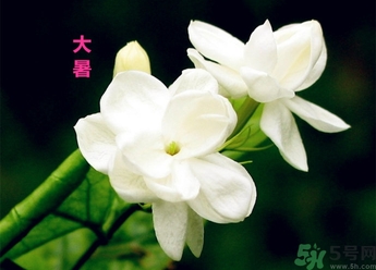 大暑是幾月幾日？大暑是什么意思？