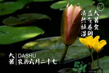 大暑吃什么養(yǎng)生？大暑吃什么好？