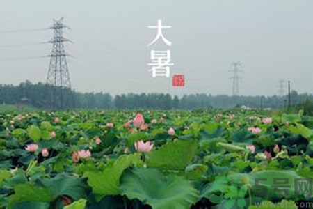 大暑吃什么養(yǎng)生？大暑吃什么好？