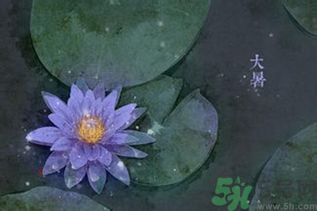 大暑吃什么養(yǎng)生？大暑吃什么好？