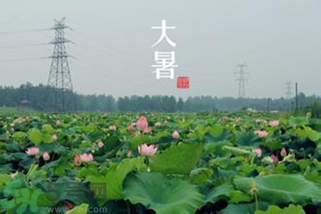 大暑吃什么水果？大暑吃什么水果養(yǎng)生？