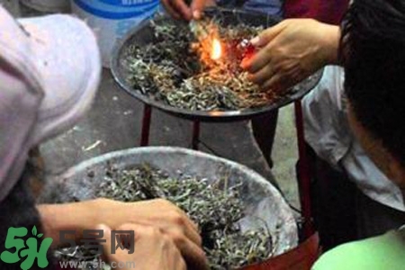 夏天可以用艾草驅蚊嗎？夏天可不可以用艾草驅蚊？