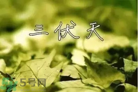 三伏天什么時(shí)候結(jié)束？三伏天是哪幾天？
