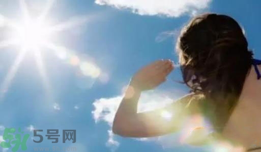 三伏天吃什么？三伏天傳統(tǒng)美食有哪些？