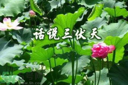 三伏天吃什么？三伏天傳統(tǒng)美食有哪些？