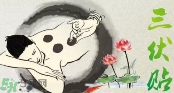 貼三伏貼可以洗澡嗎？貼三伏貼多久可以洗澡？