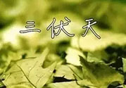 三伏天吃什么？三伏天傳統(tǒng)美食有哪些？