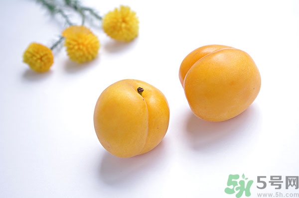吃杏子能減肥嗎？杏子的功效與作用