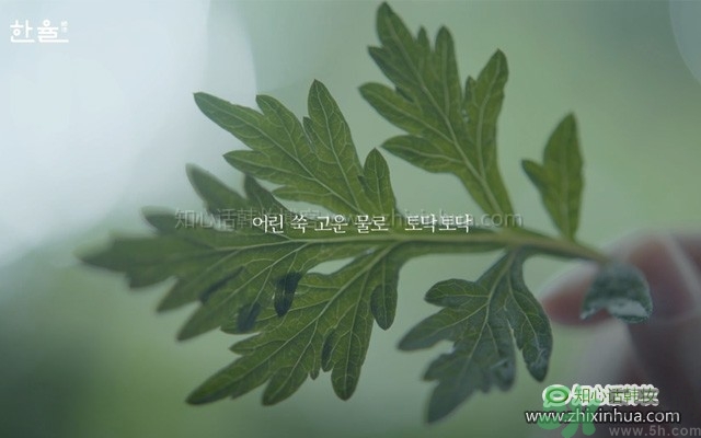 韓律艾草補水鎮(zhèn)靜噴霧怎么樣？好用嗎？