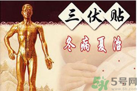 胃病可以貼三伏貼嗎？胃病貼三伏貼貼哪里？