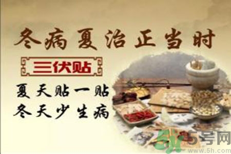 胃病可以貼三伏貼嗎？胃病貼三伏貼貼哪里？