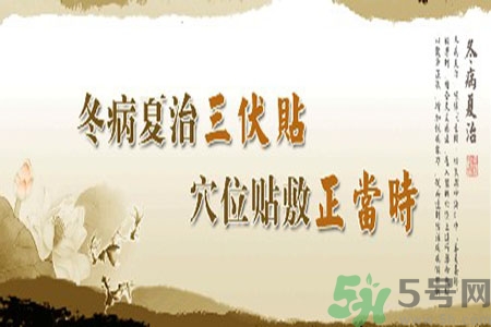 胃病可以貼三伏貼嗎？胃病貼三伏貼貼哪里？
