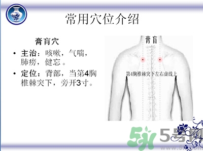 三伏貼可以貼肚臍嗎？三伏貼可以貼肚臍眼嗎？