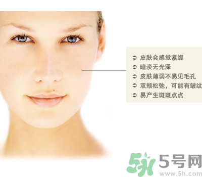干性皮膚用什么洗面奶？干性皮膚該怎么保養(yǎng)？