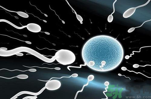 高溫對(duì)精子有影響嗎？高溫對(duì)精子有什么影響？