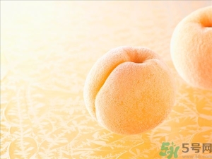杏子不太熟能吃嗎？杏子不太熟怎么辦？