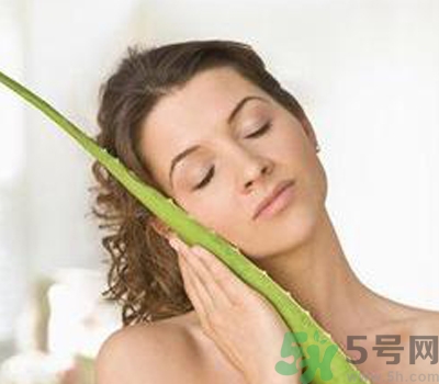 蘆薈膠會(huì)堵塞毛孔嗎？蘆薈膠應(yīng)該怎么用？
