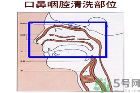 鼻炎能用生理鹽水清理鼻腔嗎？鼻炎能不能用生理鹽水清理鼻腔？