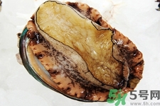 鮑魚(yú)如何挑選？鮑魚(yú)如何保存？