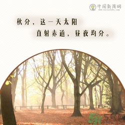 立秋是秋分嗎？立秋和秋分的區(qū)別？