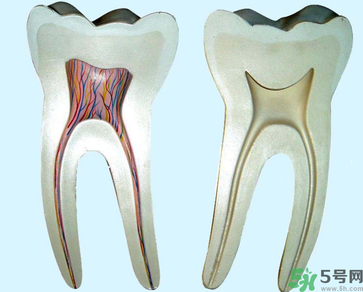牙齒根管治療多少錢？根管治療一顆要多少錢？