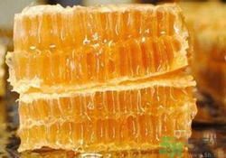 糖尿病可以吃蜂膠嗎？吃蜂膠降血糖嗎？