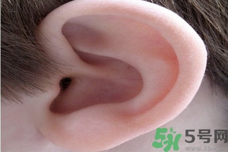 耳朵癢是怎么回事？耳朵癢怎么辦？
