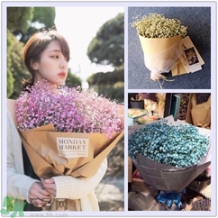 七夕送女朋友什么花？七夕送女朋友花送幾朵？