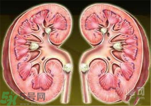 慢性腎炎能治好嗎？慢性腎炎能活多久？