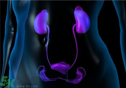 慢性腎炎能治好嗎？慢性腎炎能活多久？