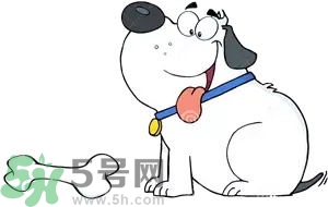 七夕單身狗怎么過？單身怎么過七夕？