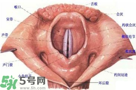 慢性咽炎的發(fā)病因素？慢性咽炎的并發(fā)癥有哪些？