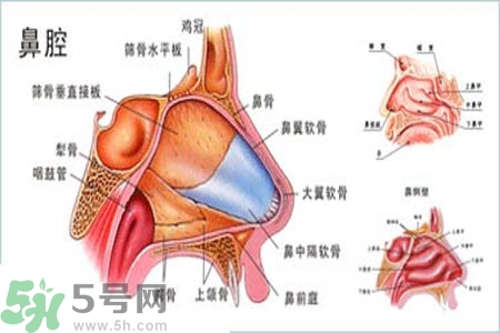 鼻竇炎的護(hù)理措施？鼻竇炎的飲食護(hù)理？