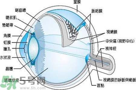 近視眼是什么？近視眼的癥狀有哪些？
