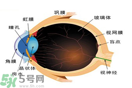 近視眼高發(fā)人群？如何預(yù)防近視眼？