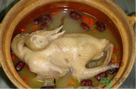 孕婦可以喝鴿子湯嗎？鴿子湯的功效與作用