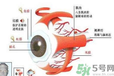 白內(nèi)障的護理措施是什么？白內(nèi)障的飲食護理有哪些？