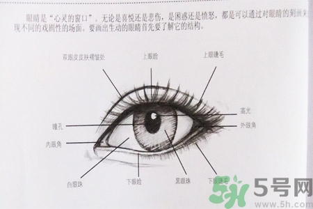 白內(nèi)障的發(fā)病因素是什么？白內(nèi)障并發(fā)癥有哪些？