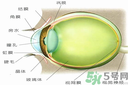 青光眼的治療方法有哪些？青光眼可以哪些藥物治療？