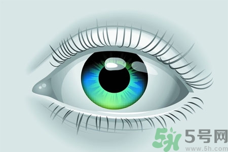 青光眼的高發(fā)人群有哪些？如何預(yù)防青光眼？