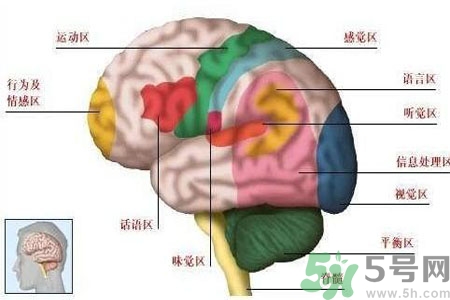 腦出血的發(fā)病因素是什么？腦出血的并發(fā)癥有哪些？