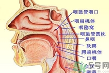 鼻咽癌的日常措施是什么？鼻咽癌注意的飲食有哪些？